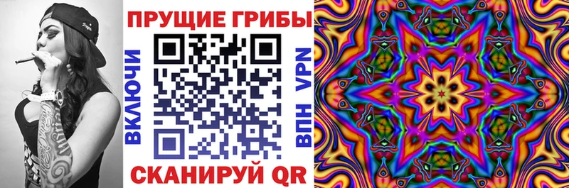 Галлюциногенные грибы мицелий  Кыштым 